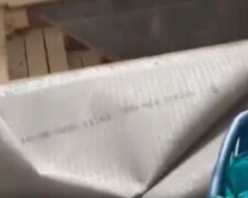 Porażające odkrycie w piwnicy/Youtube @The News