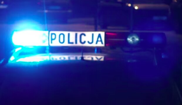 Policja apeluje o pomoc! / YouTube: FroggerTV