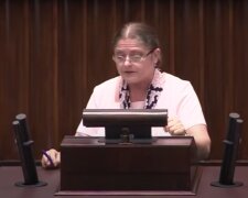 Krystyna Pawłowicz / YouTube:  Janusz Jaskółka