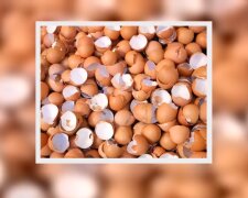 Skorupki od jajek. Źródło: Youtube Health & Fitness