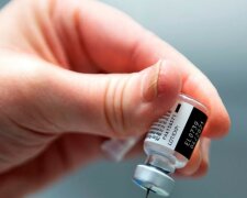 Szczepionka/Youtube @The National