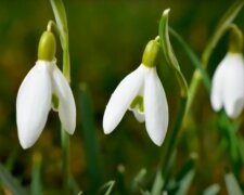 Kiedy nadejdzie wiosna? / YouTube:  YEMIOL TOP TV