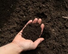 Ziemia ogrodowa/YouTube @Burpee Gardens
