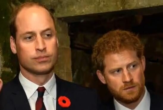 Książę Harry i Książę William screen YouTube