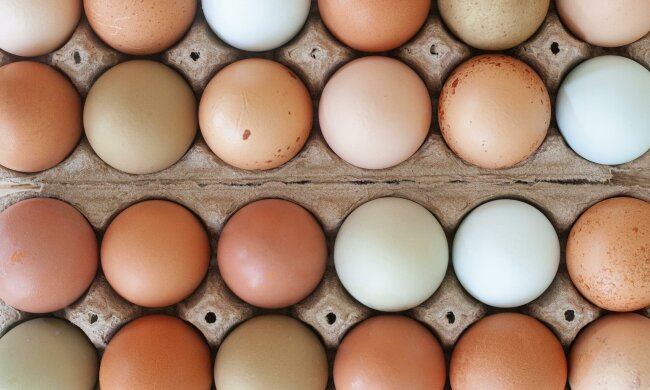 Nie spożywaj tych jaj. GIS informuje o zagrożeniu salmonellą