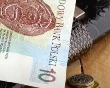 Emerytura nie dla wszystkich? / YouTube:  Rolnik szuka żony 8