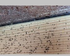 Tajemnicze kuleczki/ metro.co.uk