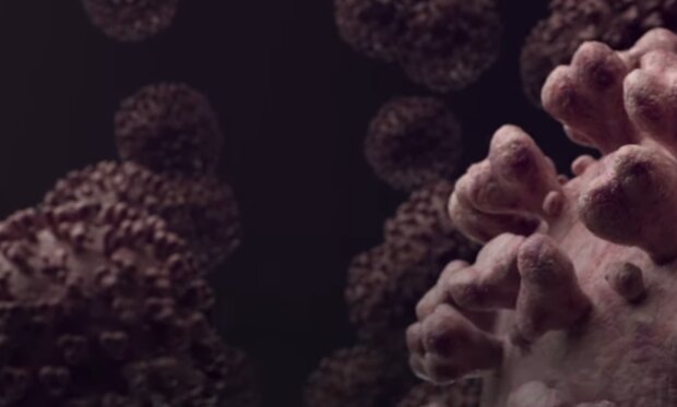 Koronawirus/ YouTube @WP