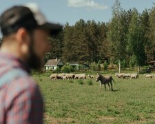 Rodzina wyśmiewała mojego ukochanego, bo był rolnikiem. Po latach wszyscy zaczęli zabiegać o jego zaproszenie