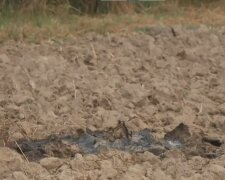 Alarm w Polsce! Rosyjskie drony naruszyły przestrzeń powietrzną. Wojsko wydało pilny komunikat