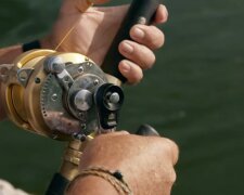 Łowienie ryb/YouTube @National Geographic Wild