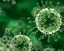 Czeka nas kolejna pandemia? / YouTube:  Health & Fitness