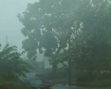 Burze/Youtube @NOVA PBS Official