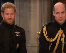 Harry i William/YT