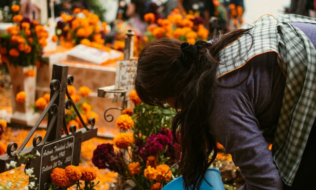 Najmodniejsze kwiaty na groby w tym roku. Nie zniszczy ich wiatr ani mróz