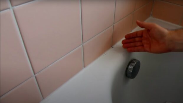 Jak wyczyścić łazienkę? / YouTube:  Take Look