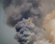 Pilne! Katastrofa samolotu gaśniczego w Polsce. Jest jedna ofiara