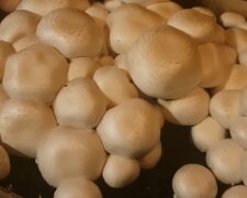 Pieczarki/YouTube @infouprawa