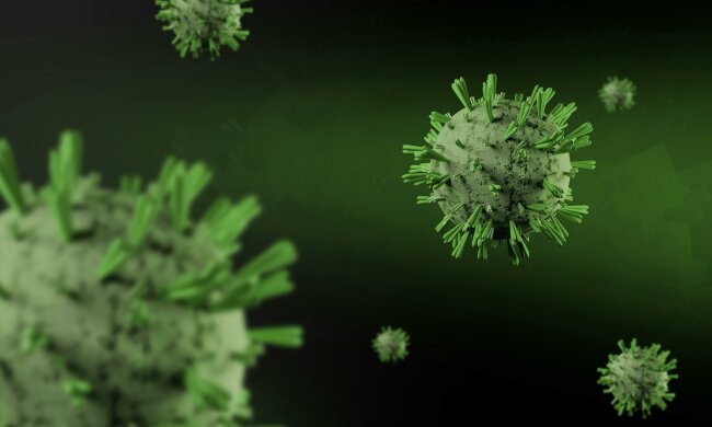 Groźny wirus, który miał zniknąć, wrócił do Europy. Odkryto go tuż obok polskiej granicy