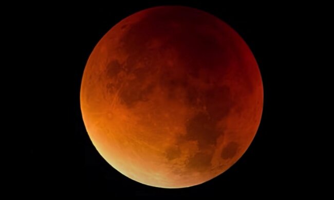 źródło: YouTube/National Geographic