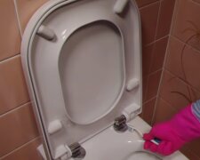 Mycie toalety. Źródło: Youtube Take Look