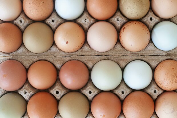 Nie spożywaj tych jaj. GIS informuje o zagrożeniu salmonellą