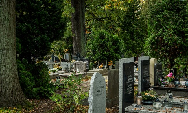 Administrator cmentarza zadzwonił, że ktoś chce zlikwidować rodzinny grób. Wszystkie dokumenty prowadziły do mojego syna