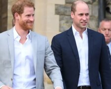 Książę Harry i książę William/YouTube @Dla Ciekawskich