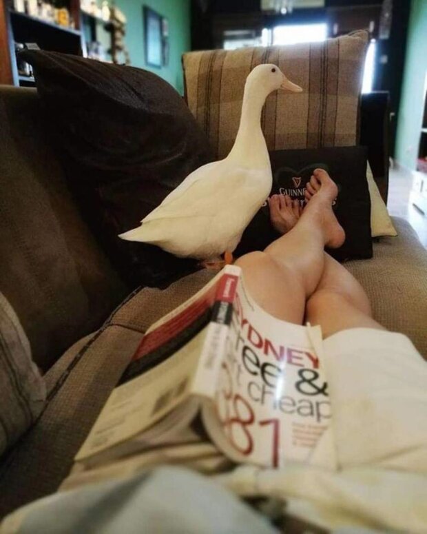 jajko w wietnamskiej restauracji, screen YT