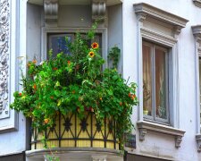 Uważaj na balkonie w bloku. Jeden błąd może kosztować nawet 500 zł