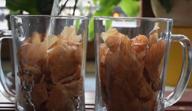 Wywar z cebuli/YouTube @Mój ogrodnik