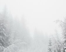 IMGW pokazuje wczesny scenariusz świąt 2025. Czy tym razem zobaczymy białą Wigilię