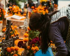 Najmodniejsze kwiaty na groby w tym roku. Nie zniszczy ich wiatr ani mróz