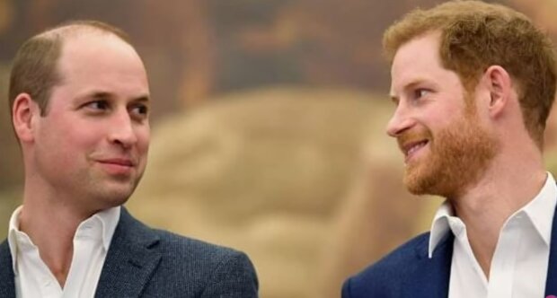 Książę William i książę Harry/YouTube @Dla Ciekawskich