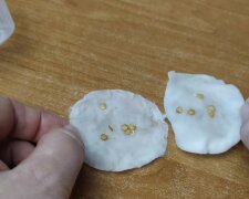 wkładam nasiona do roztworu, screen YT