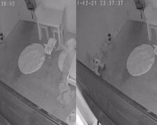 Ojciec publikuje w mediach społecznościowych film z monitoringu swojej córki. Czy w pokoju dziecka pojawił się duch