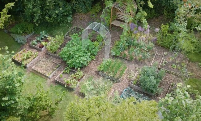 Ogród teściowej, źródło: YouTube/GrowVeg
