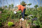Przez lata pozwalałam sąsiadom korzystać z mojego ogrodu. Pewnego dnia oznajmili, że należy im się jego część