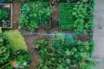 Sąsiad może zgłosić twój ogródek. Kara wynosi nawet 1500 zł