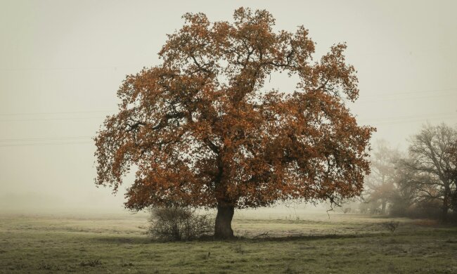 To wydarzy się już 30 października. Meteorolodzy nie mają wątpliwości