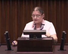 Krystyna Pawłowicz / YouTube:  Janusz Jaskółka