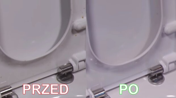 Mycie toalety. Źródło: Youtube Take Look