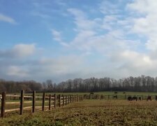 Prognoza pogody / screen youtube