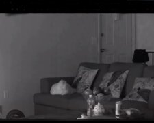 Nagranie z ukrytej kamery/TikTok @rencontres.paranormales