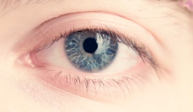 Oko/ YouTube @TVGRYpl