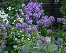 piękny ogród / YouTube:  Marta Potoczek - Leniwa niedziela