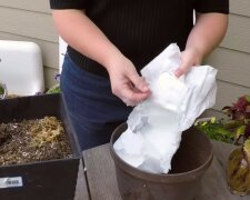 Pielucha w ogrodzie?/Youtube @Living on a Dime