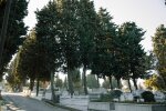 Po latach milczenia siostra zaprosiła mnie na wspólne porządki na cmentarzu. W jej samochodzie czekała teczka z dokumentami