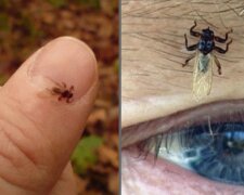 źródło: YouTube/Info