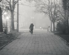 Smog/screen Pixabay